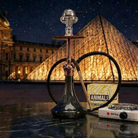 Pack Cachimba El-Badia C5 V2 Brown Copper