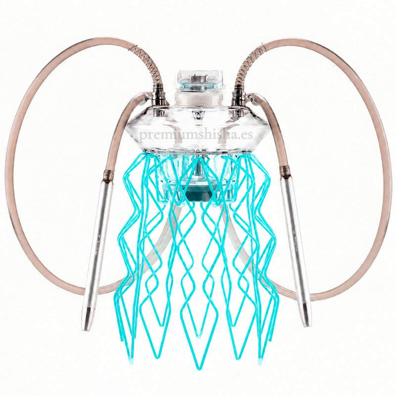 Cachimba Meduse Nautila Aurita