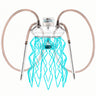 Cachimba Meduse Nautila Aurita