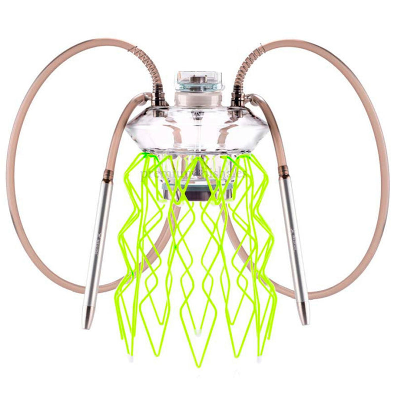 Cachimba Meduse Nautila Aurita