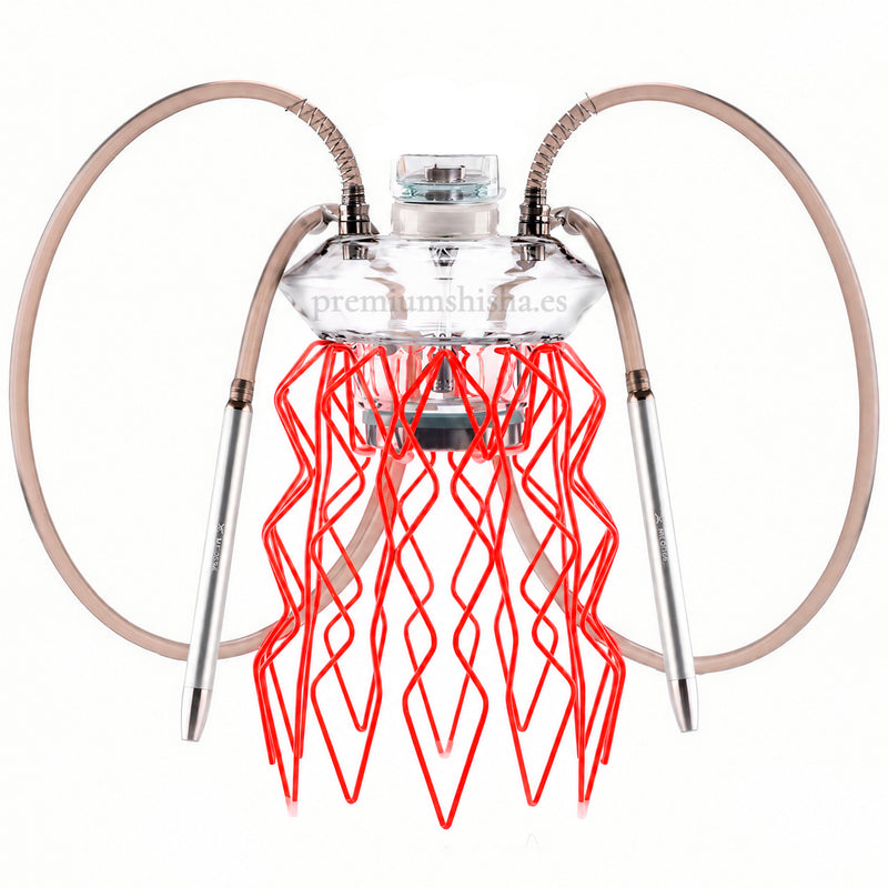 Cachimba Meduse Nautila Aurita