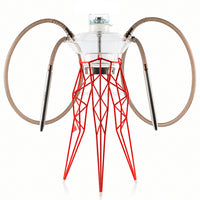 Cachimba Meduse Nautila Trigona