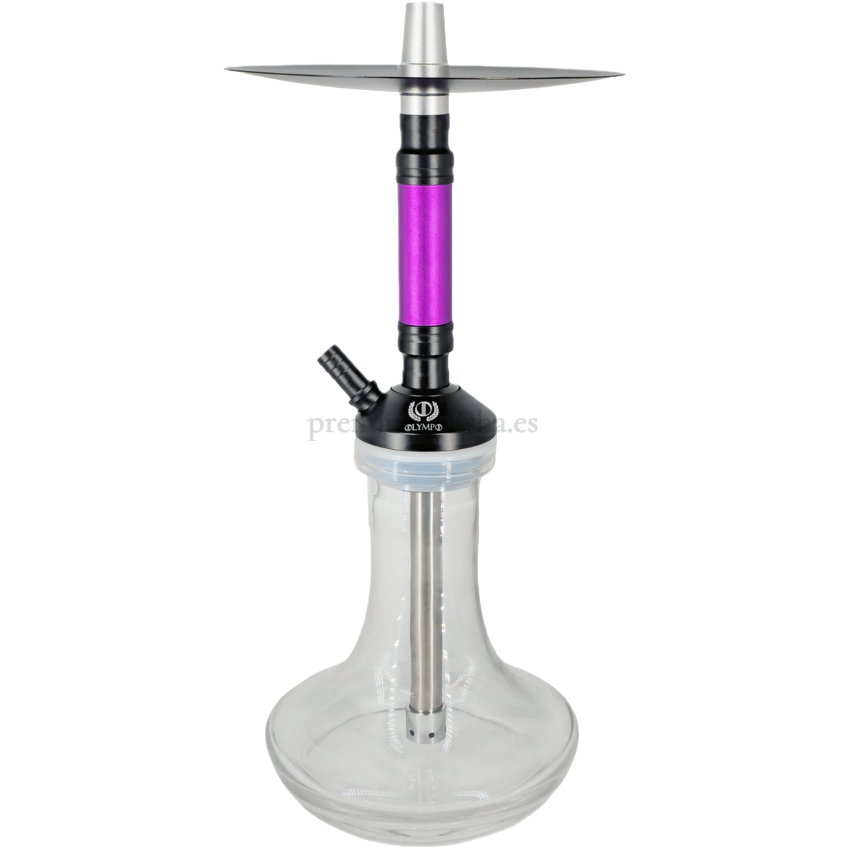 Cachimba Olympo Zeus Lila - Frontal - Premium Shisha