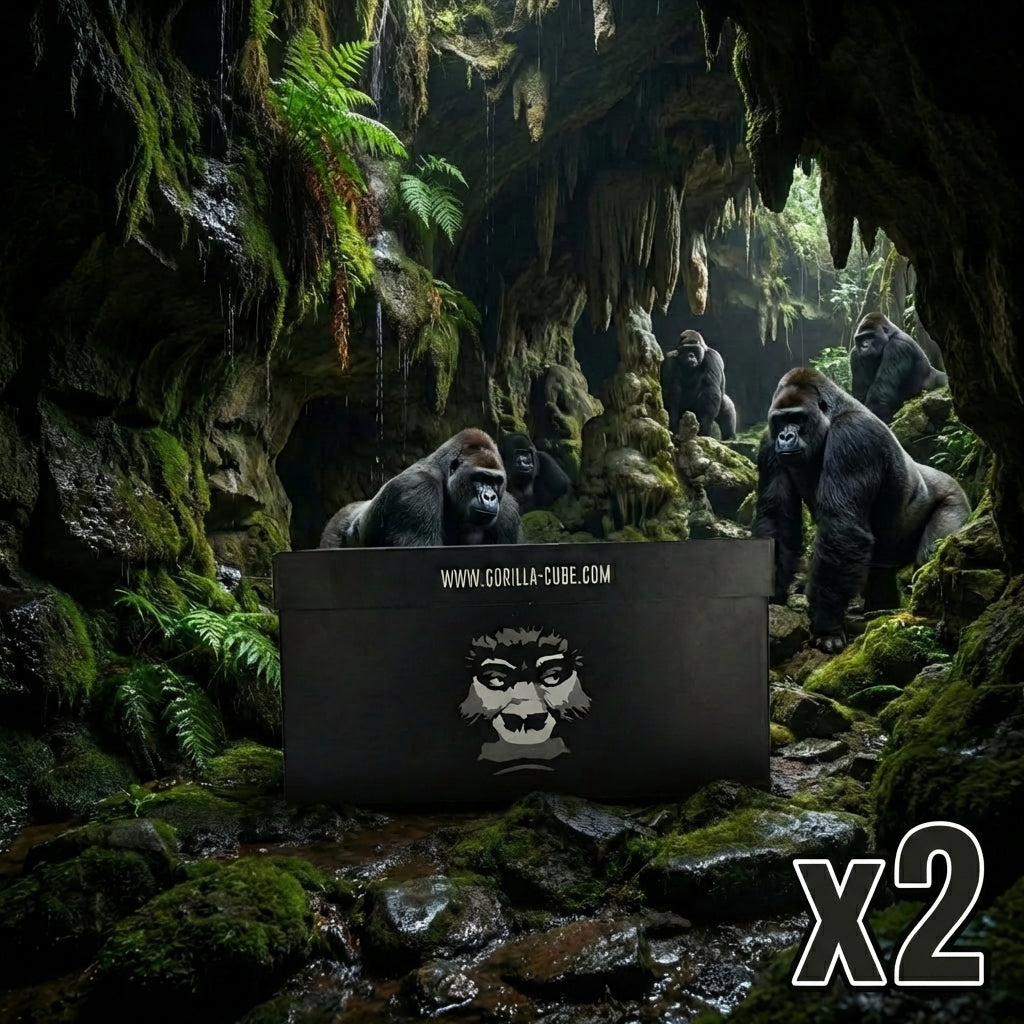 Pack Carbón Gorilla 2kg 27mm - Frontal - Premium Shisha