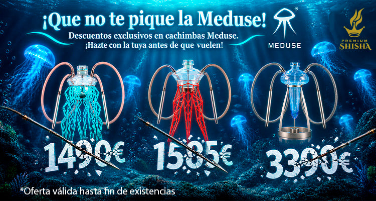 Banner Meduse
