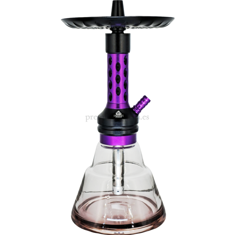 Cachimba Erasmus Hookah Mini cactus Negra y Lila