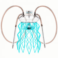 Cachimba Meduse Nautila Aurita