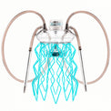 Cachimba Meduse Nautila Aurita