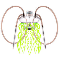 Cachimba Meduse Nautila Aurita