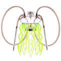 Cachimba Meduse Nautila Aurita