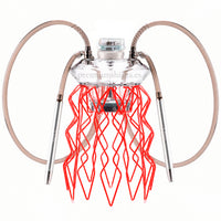 Cachimba Meduse Nautila Aurita