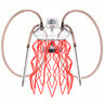 Cachimba Meduse Nautila Aurita
