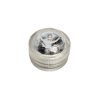 Luz Led Pequeña Premium Shisha